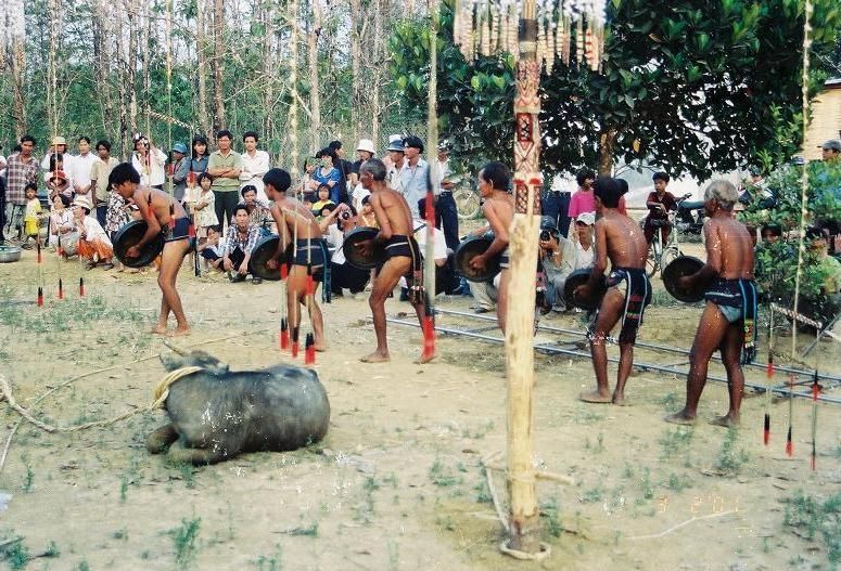 Tổng hợp những địa điểm cắm trại lý tưởng ở Đồng Nai