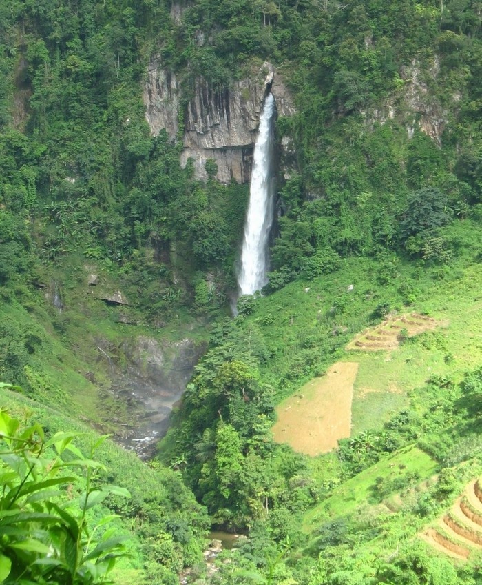 Háng Tề Chơ