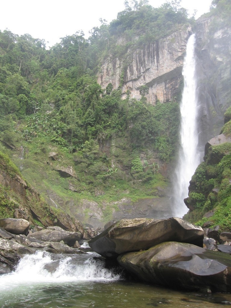 Háng Tề Chơ
